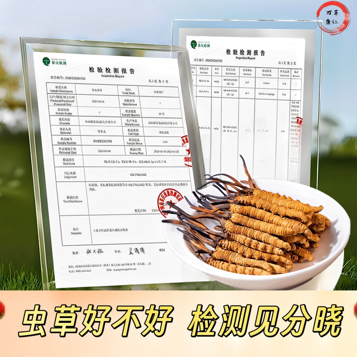 Cordyceps Sinensis Gift Box 30 Pieces Wholesale Direct Supply Cordyceps Dried Goods Gift Box Cordyceps Sinensis Xizang Nagqu