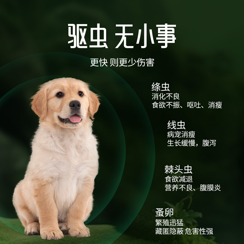 German Berlin Pharmaceutical Pet Deworming Tablets for Dogs, Cats and Poultry Internal and External Parasites, Roundworms, Nematodes, Hookworms for Dogs