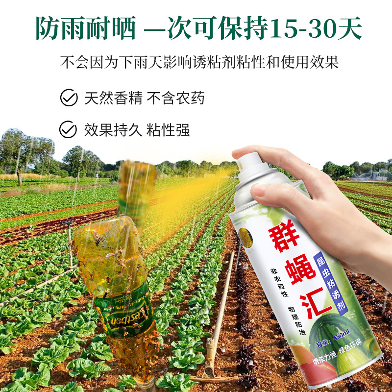 фабрика ловушек для мух, аттрактант для фруктовых мух, эффективная ловушка