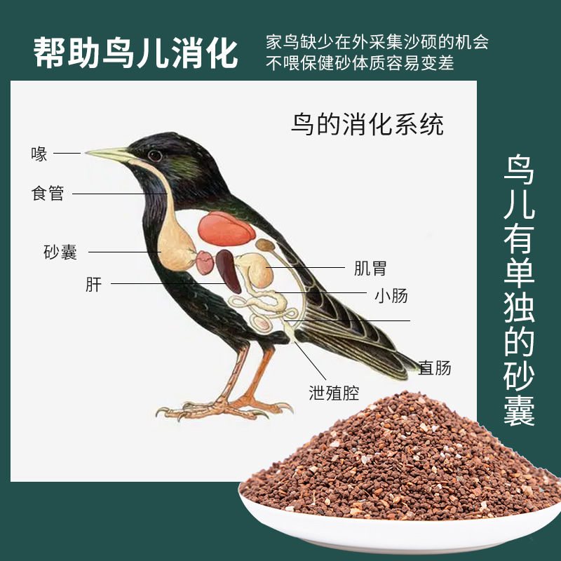 Parrot health care sand small particle red earth bird health care sand tiger skin jade bird special colorful high calcium health care sand wholesale