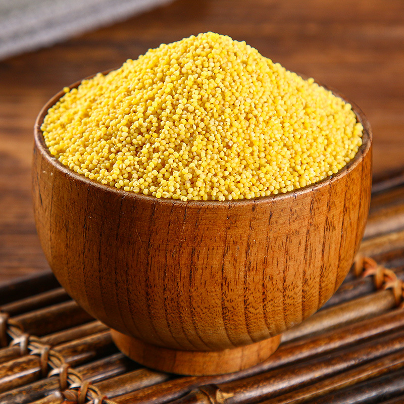 Northeast Millet Grains 500g Vacuum Packed Source Factory Grains Bulk Wholesale Yellow Millet 0.5kg New Rice Porridge