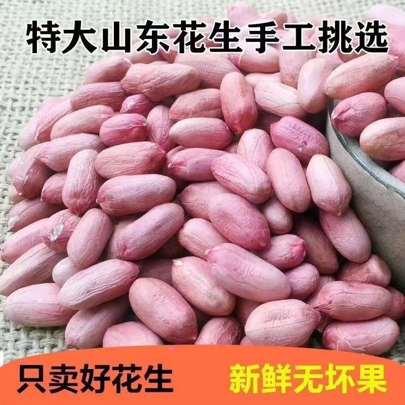 Shandong Luhua Peanuts 2025 New Crop Long-Grain Peanuts Large Kernels White Fresh Extra Large Selected Peanut Kernels
