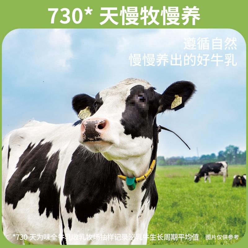 Wei Quan Pure Milk 1L Pack for Coffee and Milk Tea Shops, Full Cream Milk for Fresh Milk Tea, Milk Latte Art, Milk Foam