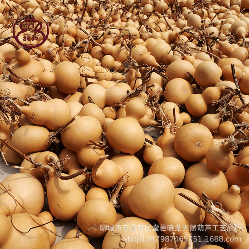 2025 New Arrivals Gourd Toys Natural Currency Ornaments Hand Pieces Small Gourds Hand-Twisted Gourds Manufacturer Wholesale