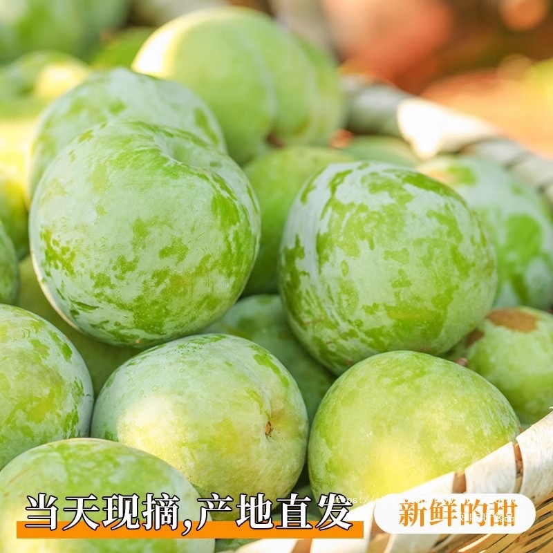 Sichuan Boneless Plums, Fresh Fruits, Extra Large Seasonal Sweet and Sour Honey Green Crispy Plums, Whole Box Free Shipping