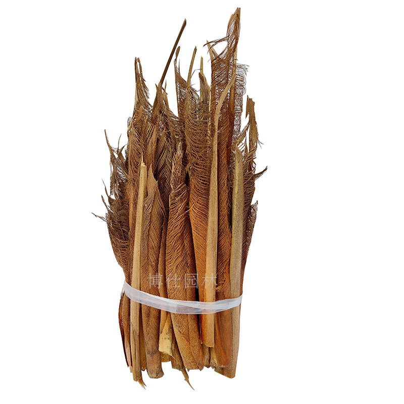 Real Tree Bark Brown Shell Artificial Green Plant Accessories Areca Palm Decorative Materials Dry Tree Bark Brown Indoor Decoration