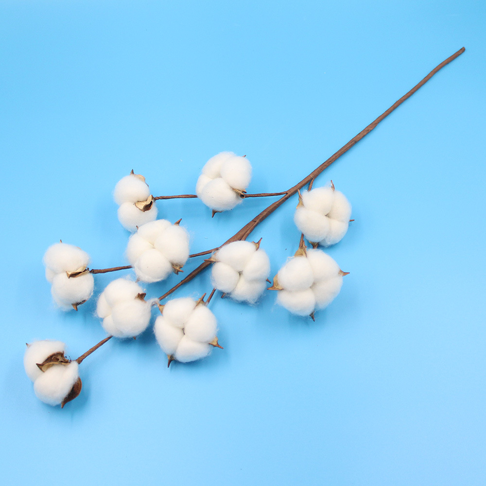 Cotton Dried Flowers, Simulated Cotton, Natural Kapok, Christmas Wreath Decoration Supplies, White-Headed Immortal Flowers