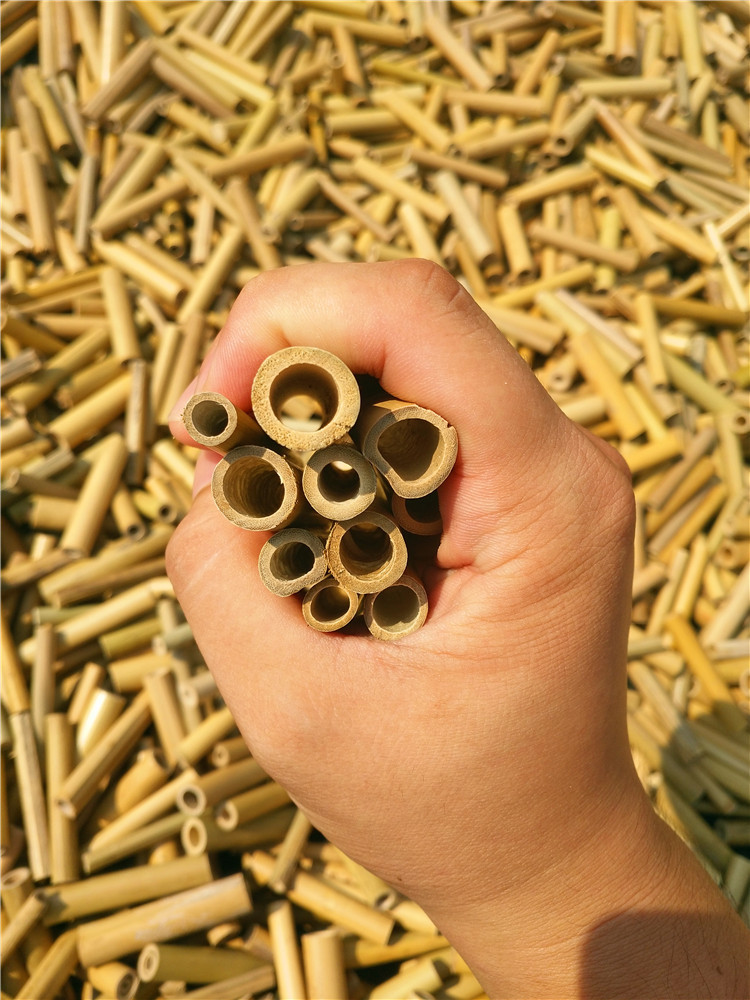 Customizable High-Temperature Treated Dry Bamboo Tubes, Raw Bamboo Tubes, Insect House Tubes Can Be Polished