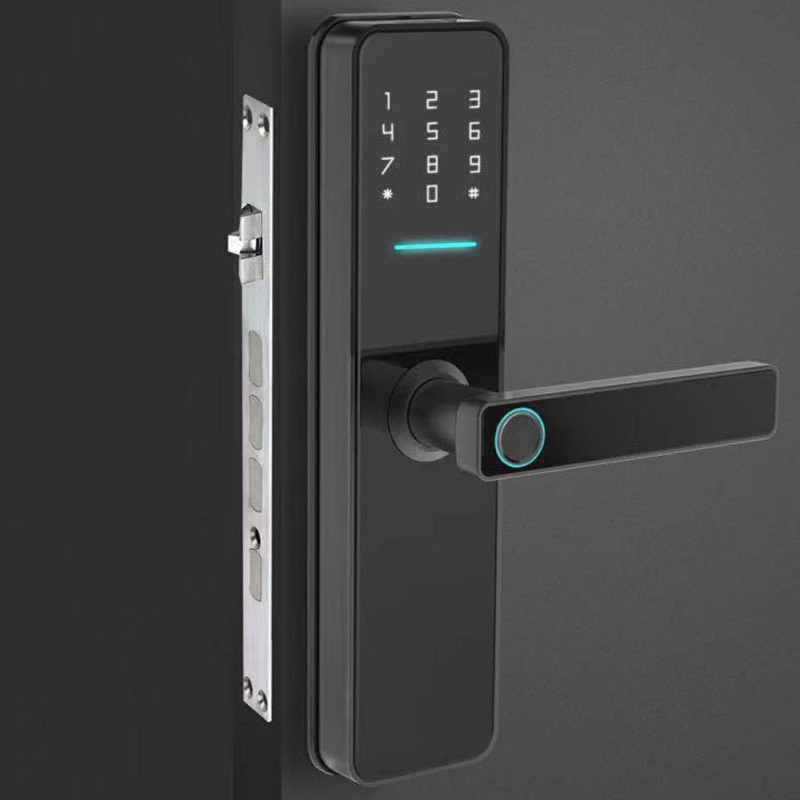 Ttlock Smart Bluetooth Wifi Password Fingerprint Lock for Hotel, Apartment, Homestay, and Rental Room