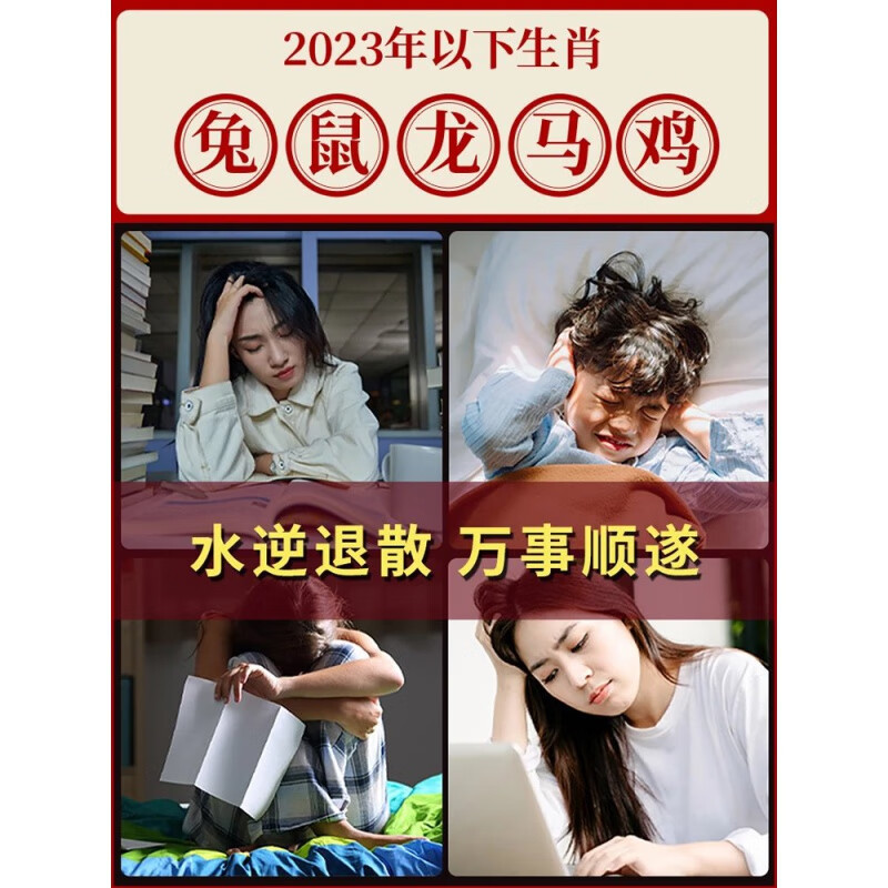 Zodiac Year Bracelet Putuo Mountain Red Agate Red Rope Bracelet for Women