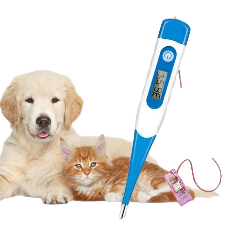 Pet-Specific Thermometer, Veterinary Thermometer, Pig, Cattle and Sheep Digital Thermometer, Animal Anal Thermometer for Temperature Measurement