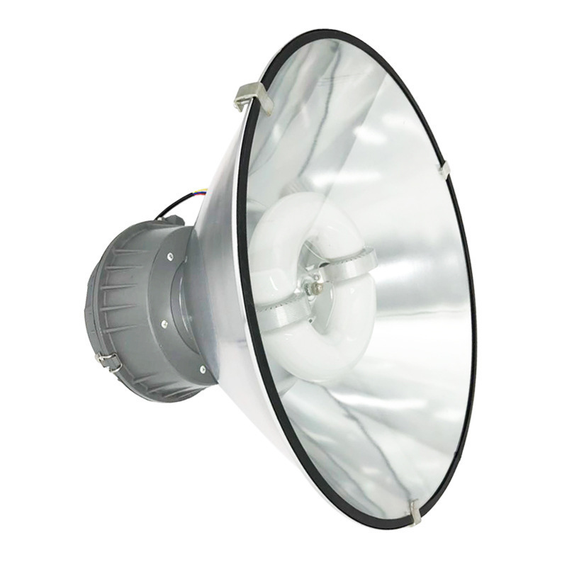 Low-frequency Stepless Lamp, Industrial and Mining Lamp, Basketball Hall Lamp, Warehouse Factory Workshop, Station Exhibition Hall, Ceiling Lamp, Chandelier