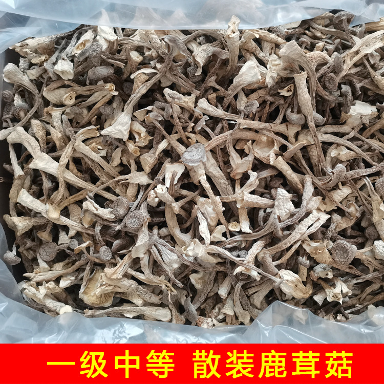 Antler mushroom antler mushroom dry goods 500g local specialty agricultural and sideline products edible fungus hotel ingredients wholesale origin direct supply