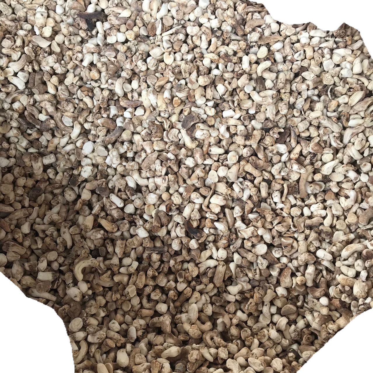 Xixia Mushroom Feet Polishing Single Cut Mushroom Leg Mushroom Stick Henan Origin Wholesale Every Year Supply 500g Clean