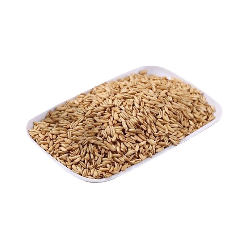 Supply of low-temperature baking oat grain grinding raw material cooked oat kernel whole grains coarse grains cooked oat rice
