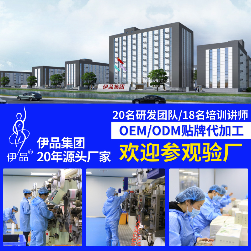 Snow Lotus Patch Gynecological Snow Lotus Care Patch Herbal Pad Snow Lotus Patch Private Parts Care Patch Snow Lotus Pad Manufacturer