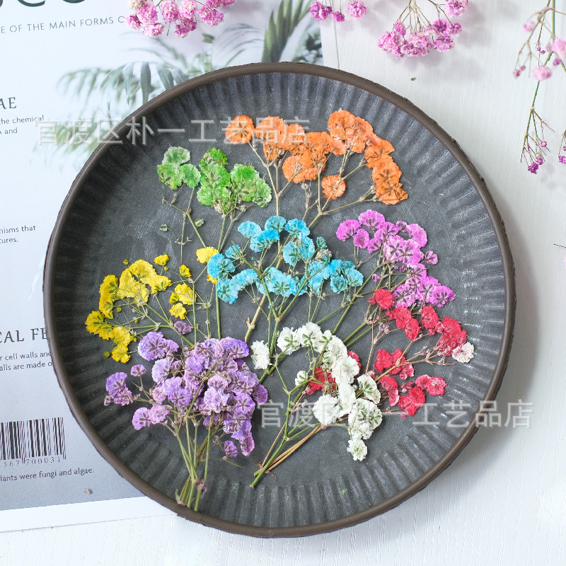 Материал для ручной работы из сухих цветов, оптовая закупка, цветочная фабрика, прессованные цветы