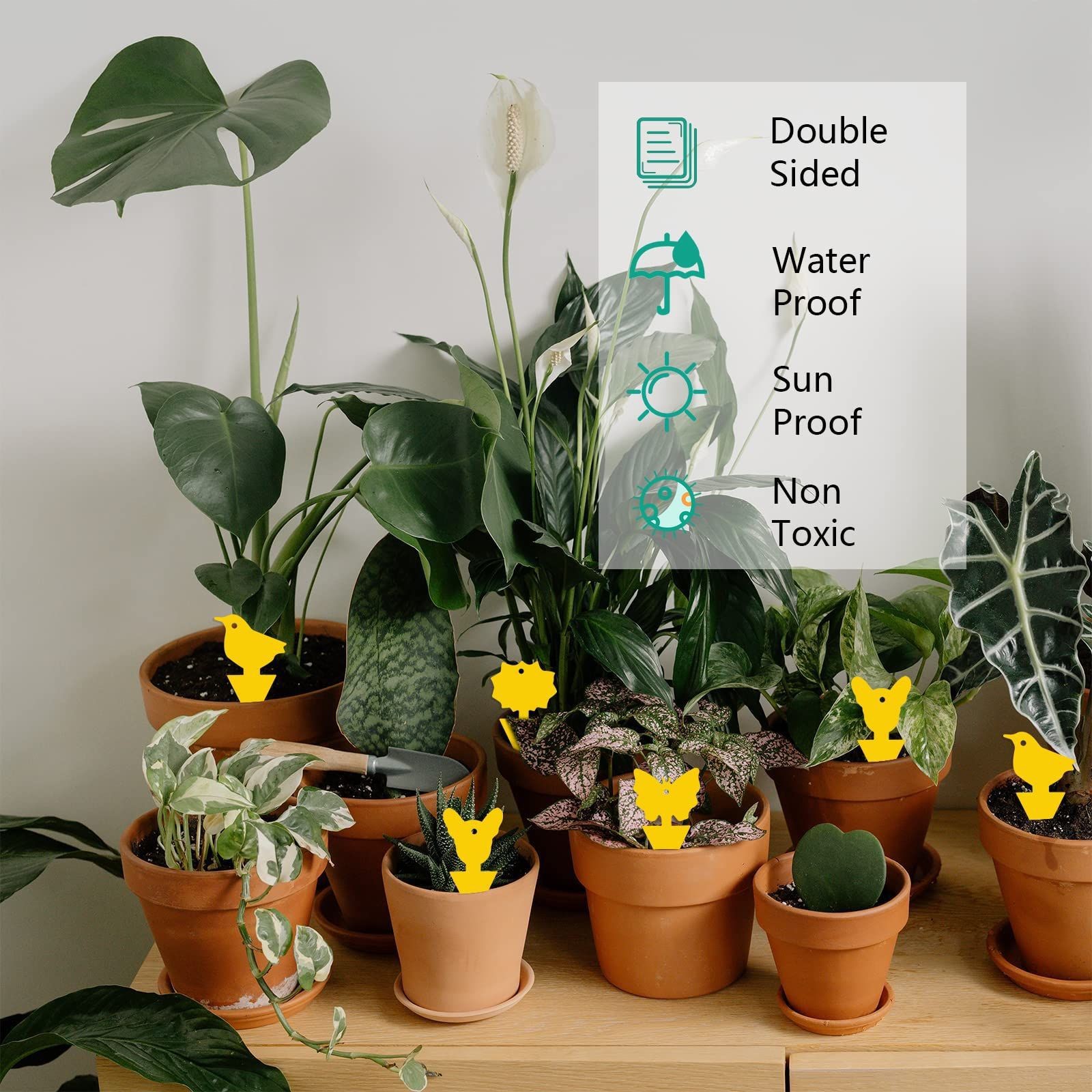 Insect stickers double-sided factory direct yellow flower trap butterfly yellow board Amazon gardening fly trap