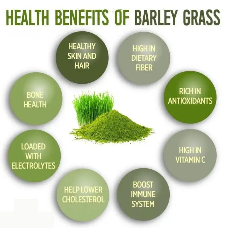 Cross-Border E-Commerce Amazing Pure Barley Grass Barley Seedling Green Juice Powder