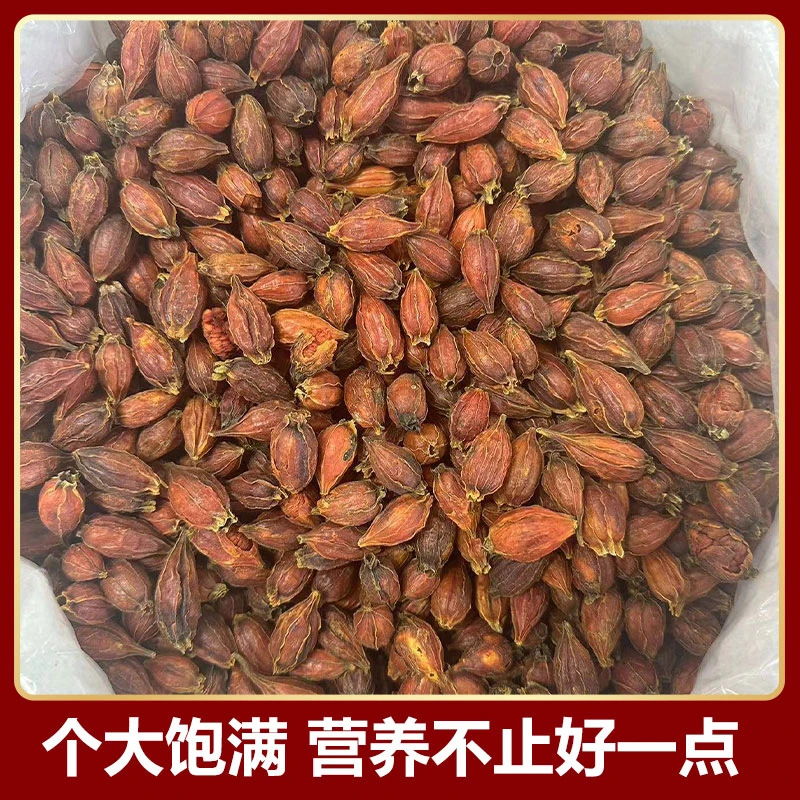 Gardenia 1000g Chinese Herbal Medicine Spot Wholesale and Retail New Goods Source Manufacturer First-Hand Supply Chinese Herbal Medicine 500g