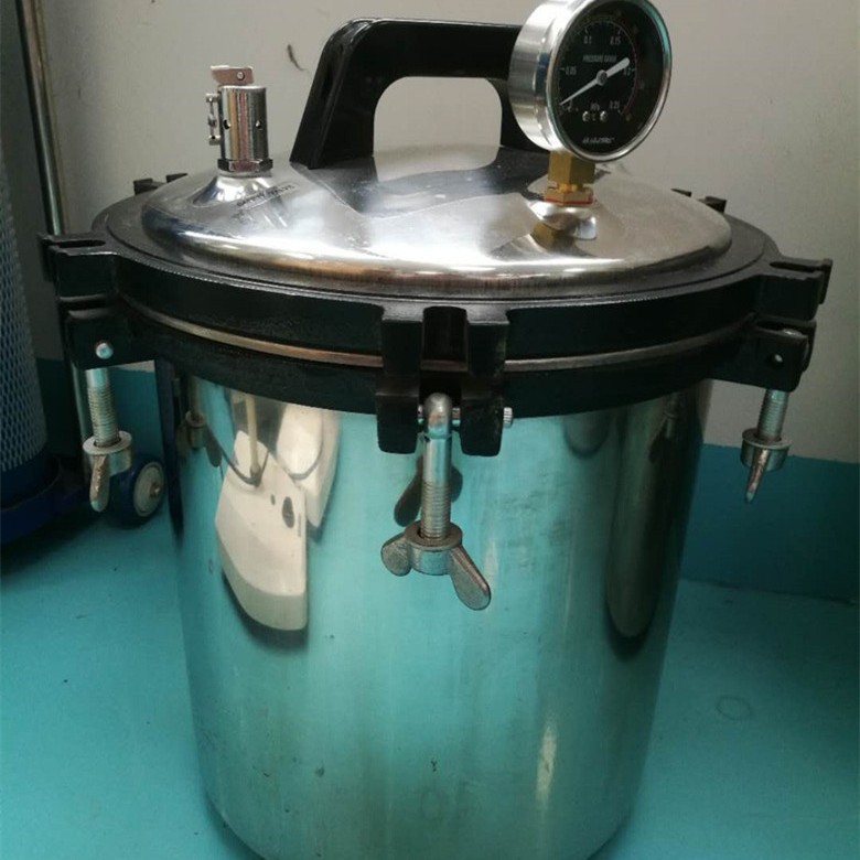 Steam Pressure Sterilizer 18 Liters High Pressure Sterilizer Coal Electric Dual-use High Pressure Sterilizer 18LM Binjiang Medical
