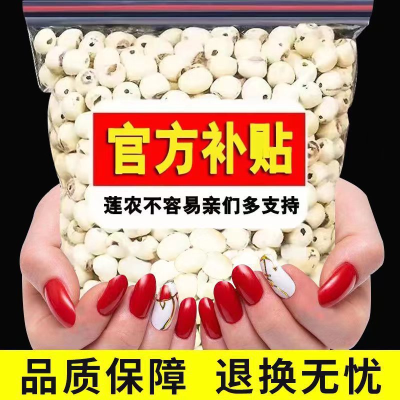 Coreless Dried Lotus Seeds Specialty from Xiangtan, Fresh Lotus Seeds Wholesale, White Lotus Seeds