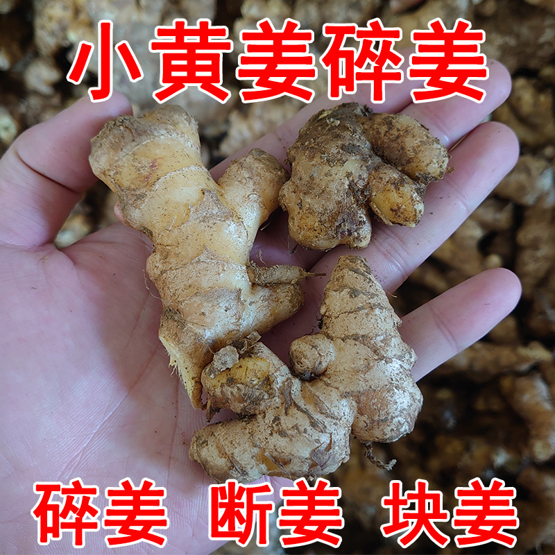 Мелкий желтый имбирь из Юннани, дробленый, хорошего качества, самовыращенный, свежевыкопанный
