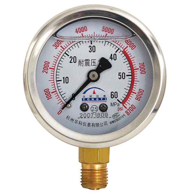 Customized Shock-Resistant Pressure Gauge Precision Pressure Gauge Electric Contact Pressure Gauge Stainless Steel Pressure Gauge Y100