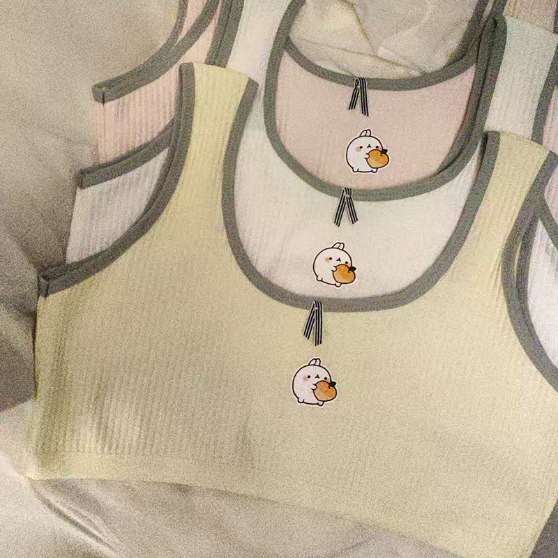 Girls' Underwear for Junior High School Students, High School Students, Female Middle School Students, Pure Cotton Development Period Small Vests, Big Children's Girls' Bras