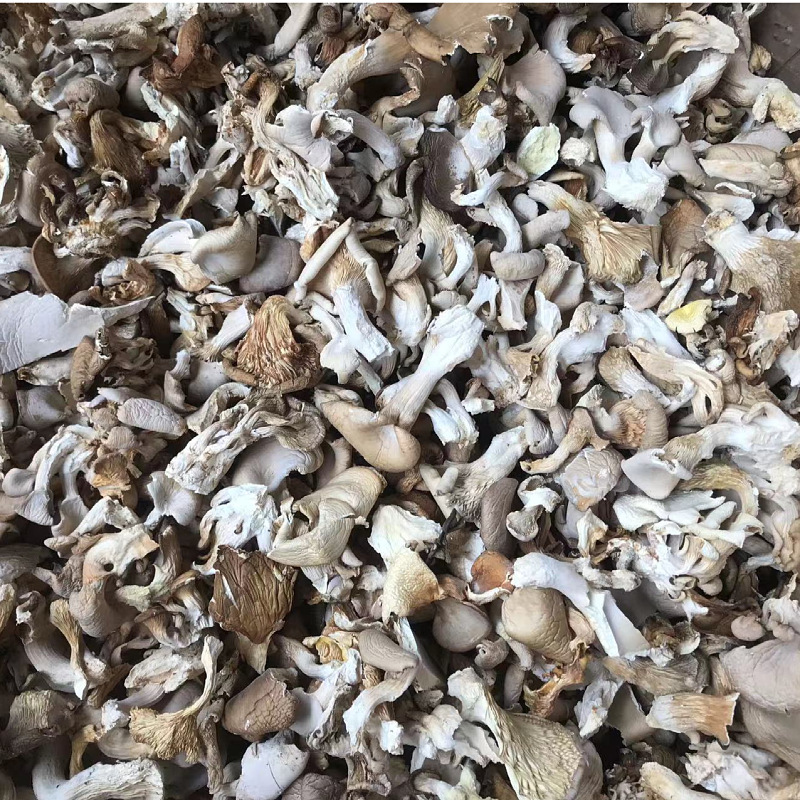 Direct supply of origin for new products dried Pleurotus ostreatus bulk wholesale abalone mushroom real mushroom Pleurotus ostreatus Mushroom mushroom package soup package