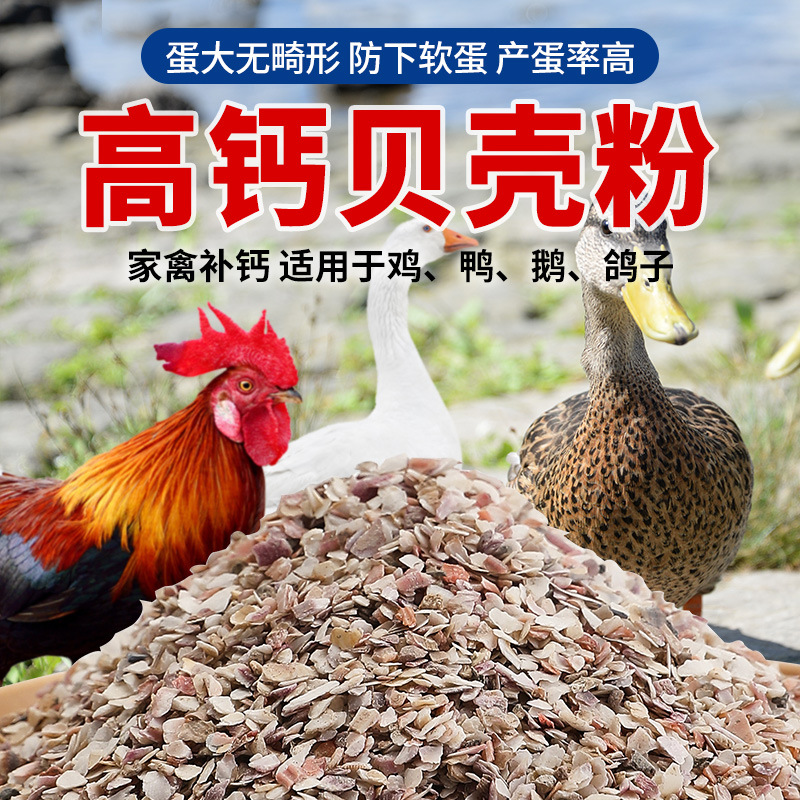 High Calcium Shell Powder Anti-pecking Oyster Calcium Bone-strengthening Shellfish Feeding Chicken Duck Goose Pigeon Special Additive Feed for Poultry