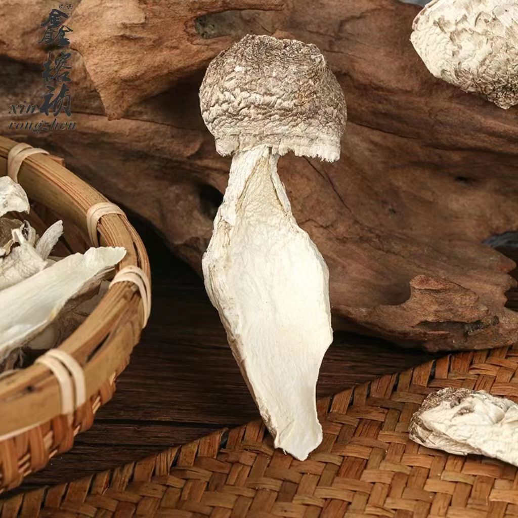 Гриб Гутянь 500г оптом для супа