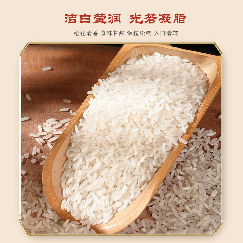 Huilong Barn Fugui Fragrant Rice 500g 0.5kg Rice Vacuum Small Packaging Real Estate Sales Gift Box Event Gift