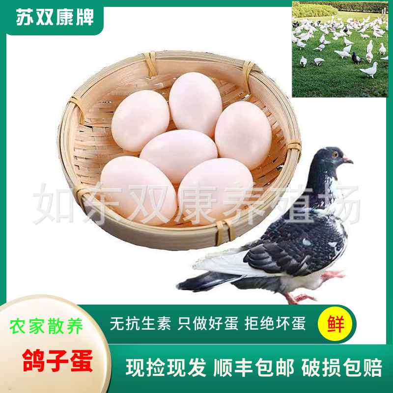 Su Shuangkang ® Pigeon Eggs Drop Shipping Farm Free Range White Pigeon Eggs Miscellaneous Grains First Birth Grass Pigeon Eggs Wholesale Fresh
