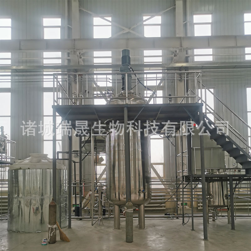 Bacillus Subtilis Fermentation Tank 100-1000L Microbial Fermentation Tank Ruisheng High Temperature Sterilization Fermentation Machine