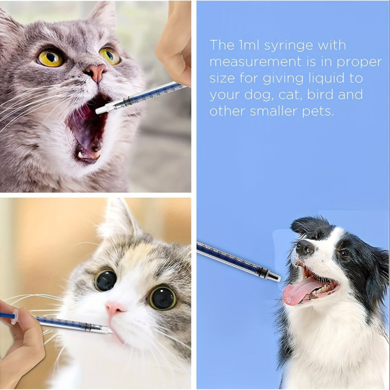 2026 New Cross-Border Dropshipping 100 Packs of 1 ml Sterile Syringes