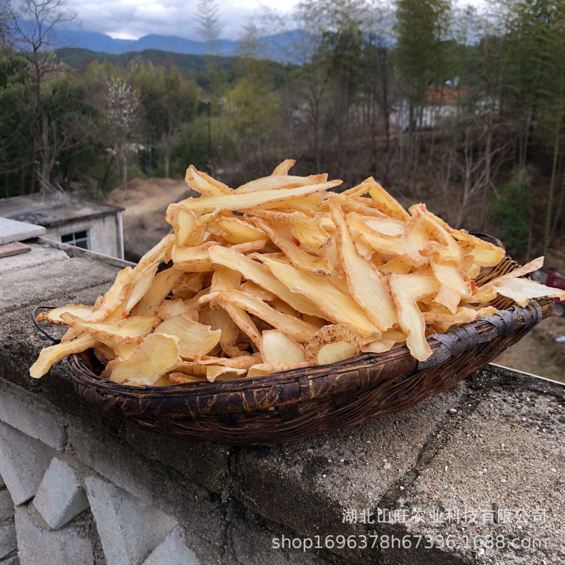 Gastrodia Elata Slices Bulk Supply, Wholesale Gastrodia Elata, High-Quality Sulfur-Free Dry Goods, Origin Supply, Chinese Medicine