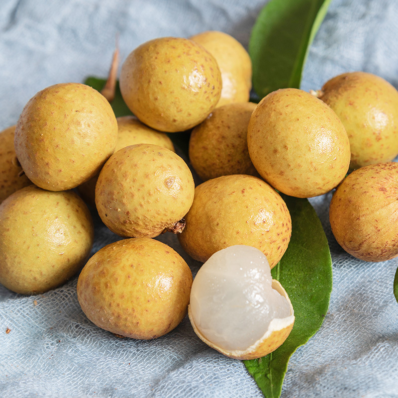 Freshly Picked Longan 4.5kg Seasonal Old Tree Premium Longan for Pregnant Women Fresh Fruit Wholesale Free Shipping