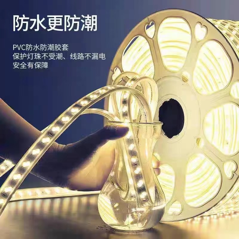 220V Outdoor Lighting Engineering Lighting Led Light with Ambient Light Super Bright Flexible Silicone Waterproof Led Light Strip