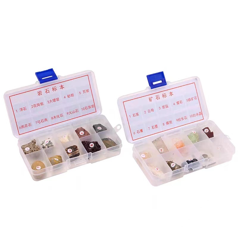 Fourth grade Science Volume 2 primary school student mineral rock specimen box student rock specimen 10 grid mineral