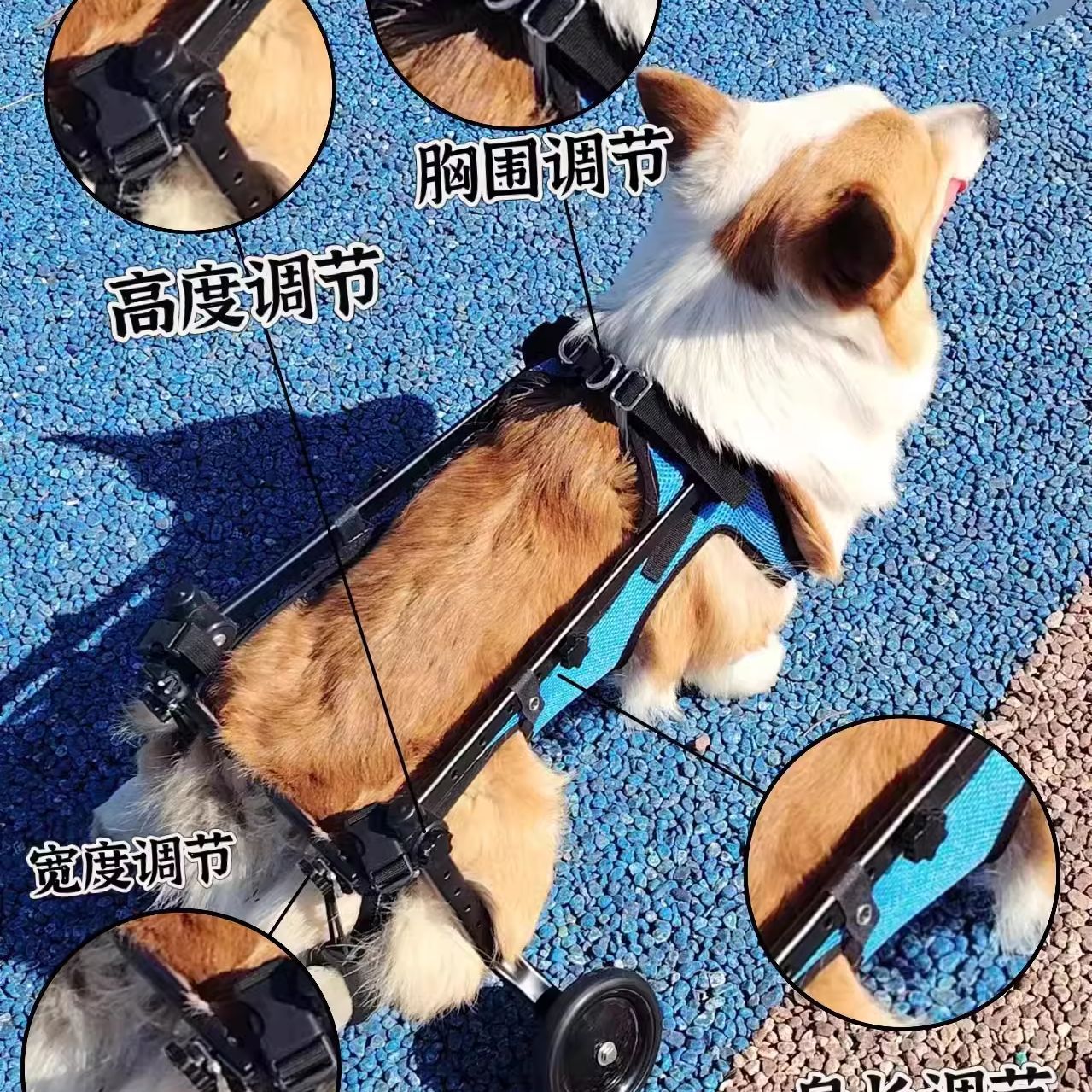 Cross-Border New Pet Wheelchair Dog Rehabilitation Walking Auxiliary Cart Moped Pet Pet Dog Scooter