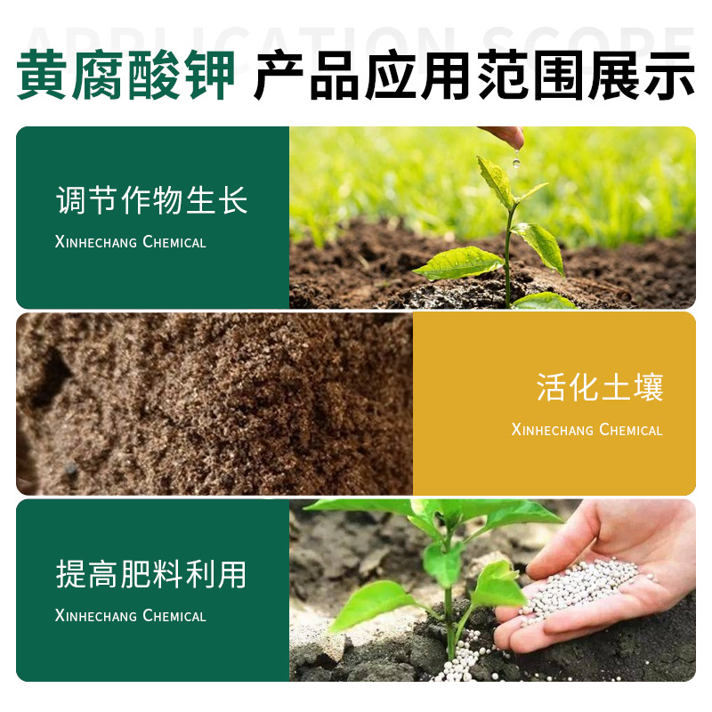 Sugar Powder Dry Powder Agricultural Organic Fertilizer Water-Soluble Fertilizer Sugar Cane Angel Yeast Metabolism Biochemical Potassium Fulvic Acid