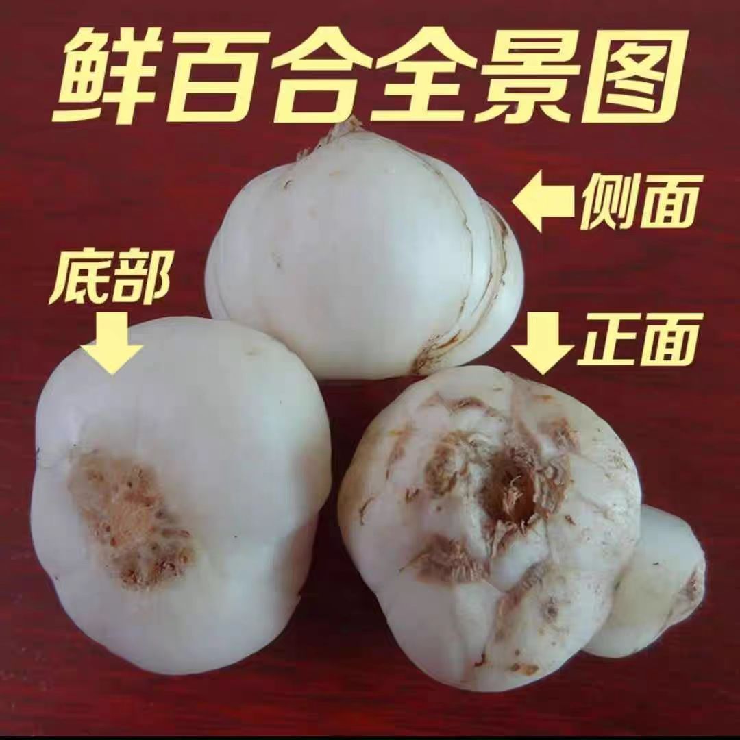 Newly Dug Fresh Lily, Fresh Lanzhou Lily, Three-Headed Emperor Edible Sweet Lily, Farm Fresh Lily, Fruit and Vegetable Sweet Glutinous Rice