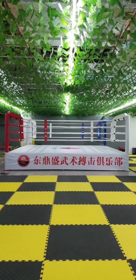Indoor Fence Boxing Ring Training Table Muay Thai Sanda Ring Standard Competition Martial Arts Floor Boxing Ring Mma