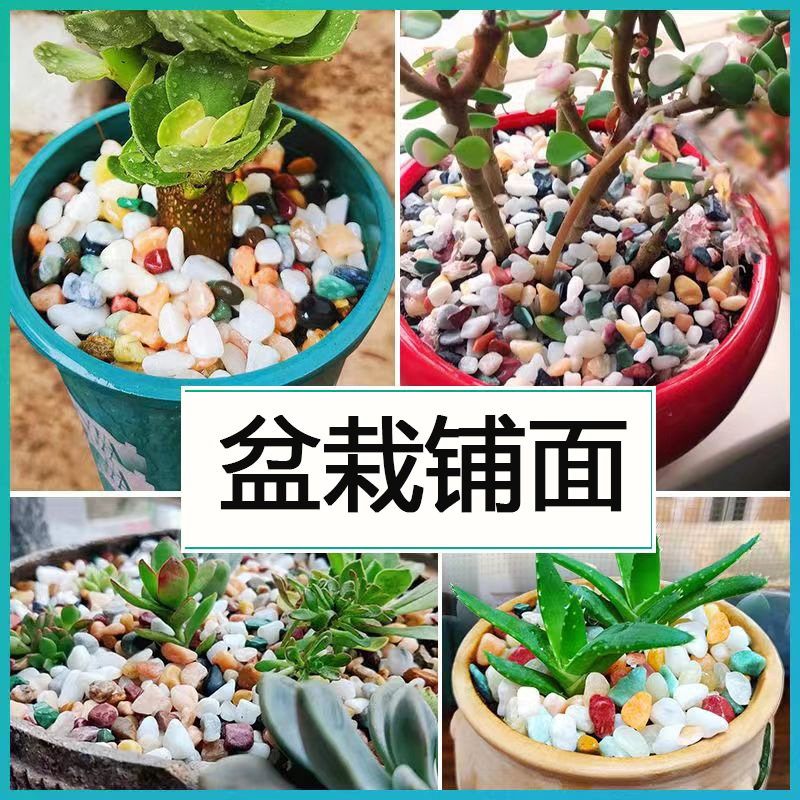 Colorful Stone Succulent Potted Plant Substrate for Fish Tank Landscaping, Bottom Sand for Planting Flowers, Special for Fish Tank Decoration