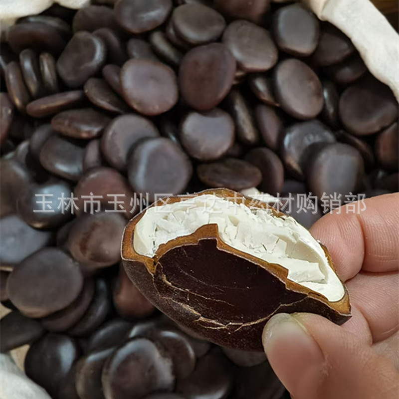 Large Wholesale Yin Yangzi Guojianglongzi Bodhizi Wood Waist Soaked in Wine Flat Type