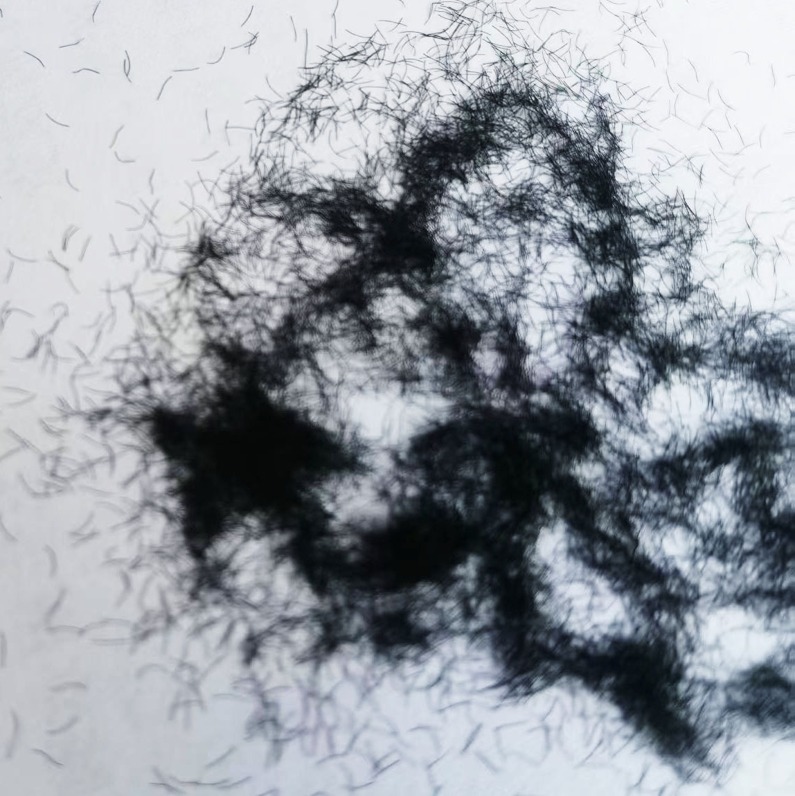 Спотовое древесное волокно, целлюлозное волокно, экологически чистое и разлагаемое волокно для туши, волокно для наращивания ресниц