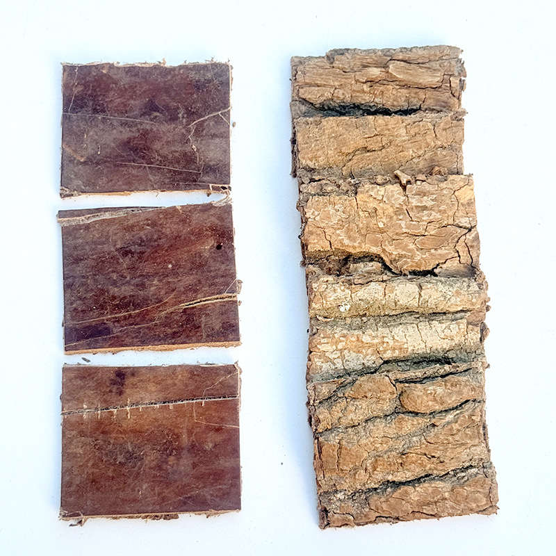 Chinese Medicinal Materials Eucommia Ulmoides Bark Eucommia Ulmoides Sichuan Thick-Skinned Brushed Eucommia Ulmoides Slices Soaked in Wine Chinese Medicinal Materials Wholesale