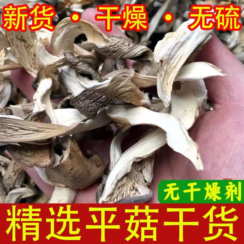 Wholesale of Shiitake Mushroom Strips, Henan New Arrivals, Farm Specialty Shiitake Mushrooms, Henan Mushrooms, Wholesale of North Wind Mushroom Strips
