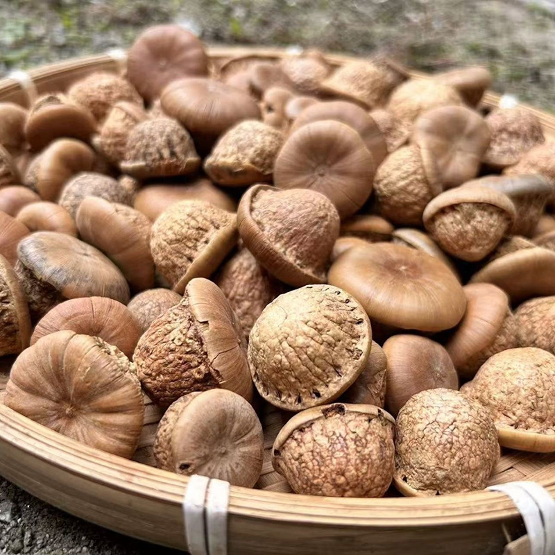 New Sulfur-Free Fengliu Fruit in Stock Wholesale Chinese Herbal Medicine Fengliu Stone Fruit Yin Yang Zi Men's Tea and Wine Ingredients